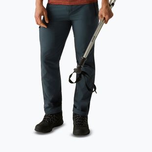 Pánské trekové kalhoty REGATTA Highton II night sky