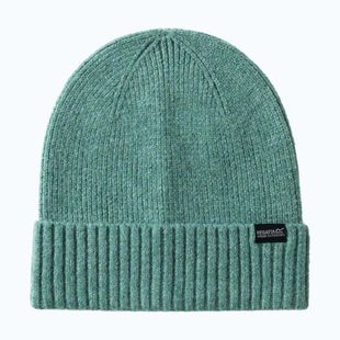 Dámská zimní čepice REGATTA Ribbed Basic dark forest green