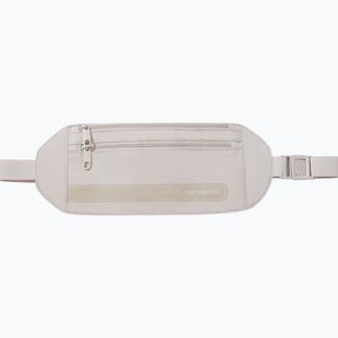 Ledvinka Samsonite Revolution grey