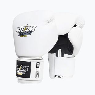Boxerské rukavice StormCloud Blizzard white/black