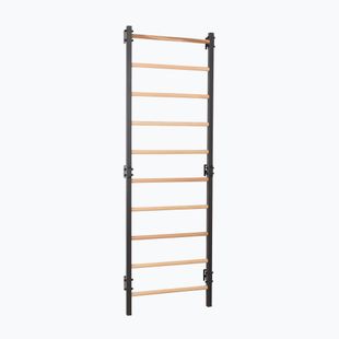 Gymnastické žebřiny RINAGYM Steel 1 graphit