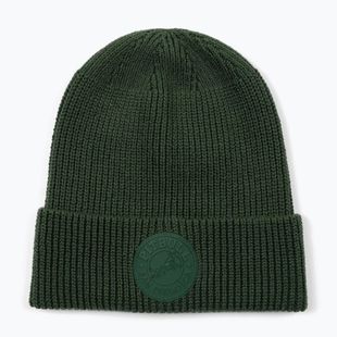 Zimní čepice Pitbull Beanie San Diego Ca dark green