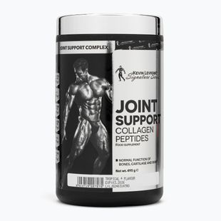Fitness Authority Levrone Joint Support 450 g tropical