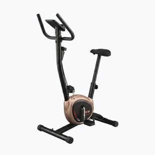 Vertikální stacionární kolo Body Sculpture Bc 1430Gd black