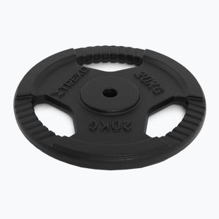 Litinový kotouč XTREXO TRX-ICP020 20 kg chrom