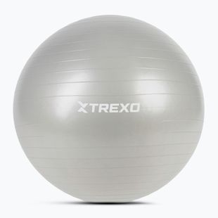 Gymnastický míč XTREXO TXO-B4Z009-GY 75 cm grey