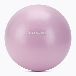 Mini gymnastický míč XTREXO TXO-B4Z011-VT 25 cm violet