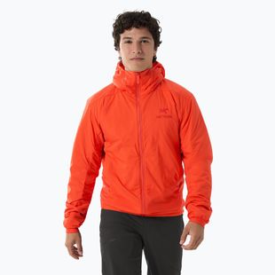 Pánská zateplená bunda Arcteryx Atom Hoody solaris