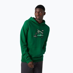 Pánská trekingová mikina Helly Hansen F2F Organic Cotton Hoodie malachite