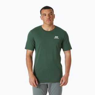 Pánské tričko Helly Hansen Nord Graphic jungle green