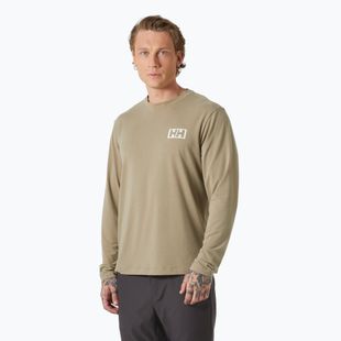 Pánské tričko Longsleeve Helly Hansen Skog Graphic pebble 