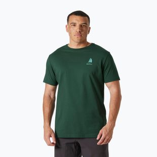 Pánské tričko Helly Hansen Shoreline 3.0 jungle green