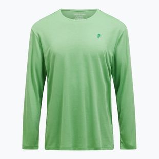 Pánské tričko Longsleeve Peak Performance Delta LS peppermint 
