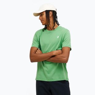 Pánské tričko Peak Performance Explore Graphic peppermint