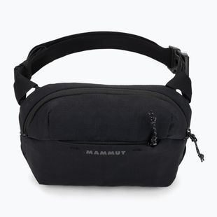 Ledvinka Mammut Alto Waistpack 2 l black