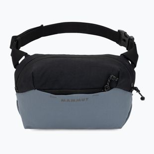 Ledvinka Mammut Alto Waistpack 2 l strata