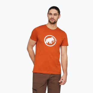 Pánské tričko na lezení Mammut Core T-Shirt Men Classic autumn larice
