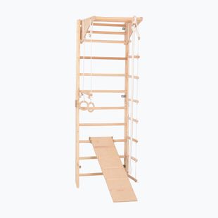 Gymnastický žebřík RINAGYM Kombi 3