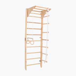 Gymnastický žebřík RINAGYM Kombi 2