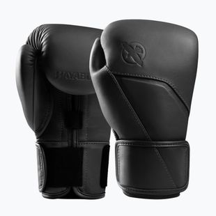 Boxerské rukavice Hayabusa E1 Leather black