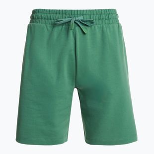 Dámské šortky CMP 34D7196 Bermudy agave