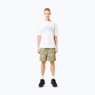 Pánské tričko Oakley Wired Mtn Scape Tee white