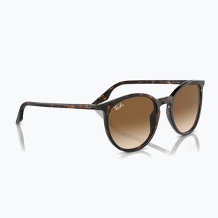 Sluneční brýle Ray-Ban RB2204 havana/light brown