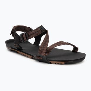 Pánské barefoot sandály Xero Shoes Z-Trail EV multi / brown