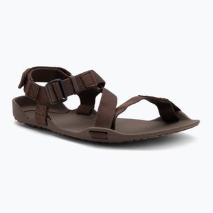 Pánské barefoot sandály Xero Shoes Z-Trek brown