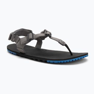 Pánské barefoot sandály Xero Shoes H-Trail steel gray/blue/lolite steel gray/blue/iolite