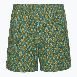 Pánské trekové kalhoty Royal Robbins All-In algae flash pt