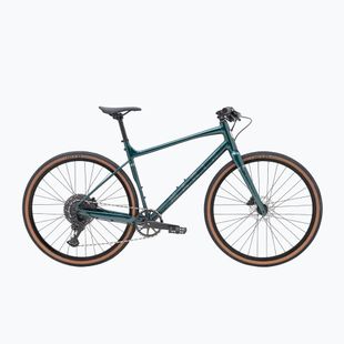 Gravelové kolo Marin DSX 1 700C green/silver