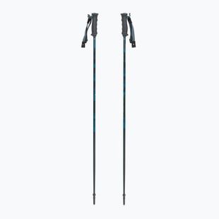 Lyžařské hole Fischer RC4 Noize grey / blue