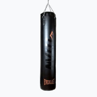 Tréninkový pytel Everlast Boxer TITAN black