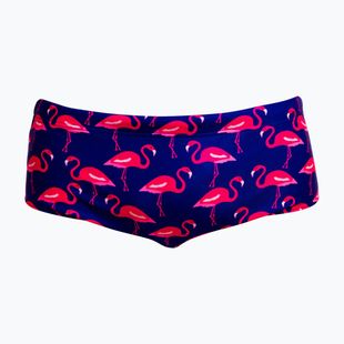 Pánské plavecké boxerky Funky Trunks Sidewinder Trunks flocked up