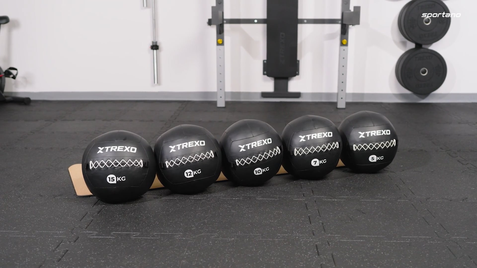 Posilovací míč TREXO Wall Ball 5 kg black