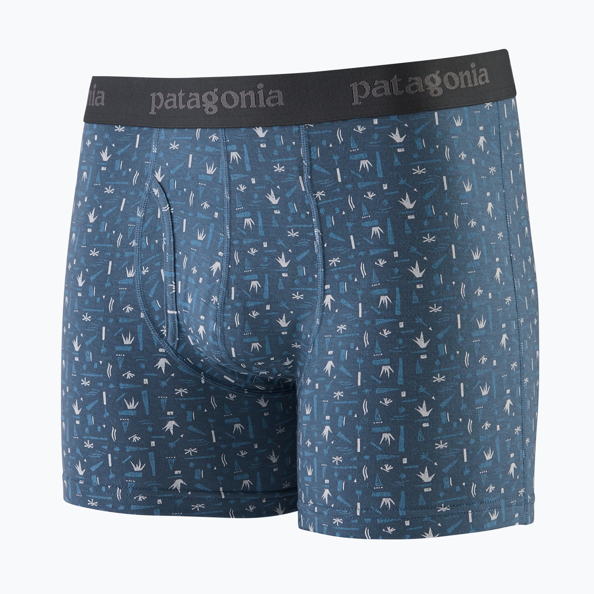 Pánské boxerky  Patagonia Essential Boxer Briefs 3" sunny/utility blue (Essential Boxer Briefs 3" 32555)