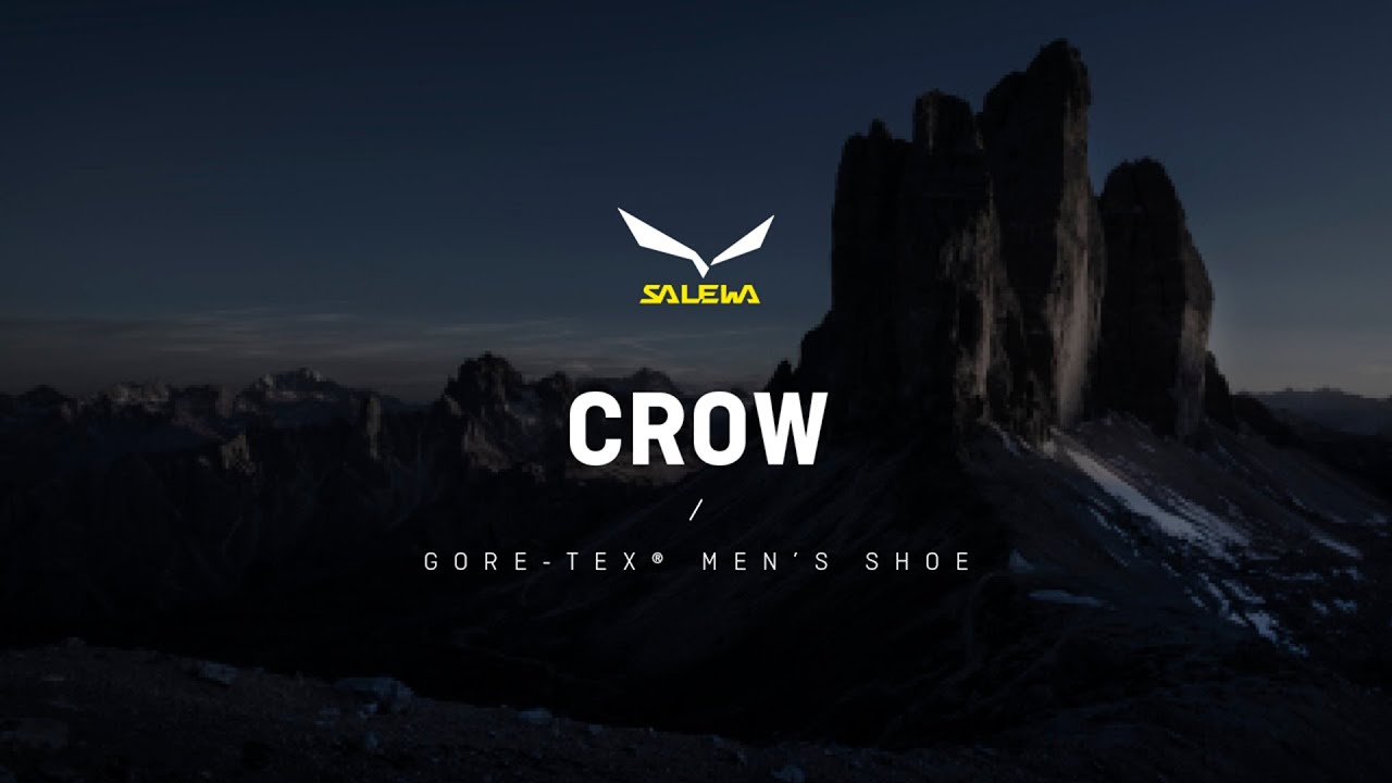 Salewa pánské vysokohorské boty Crow GTX green 00-0000061328