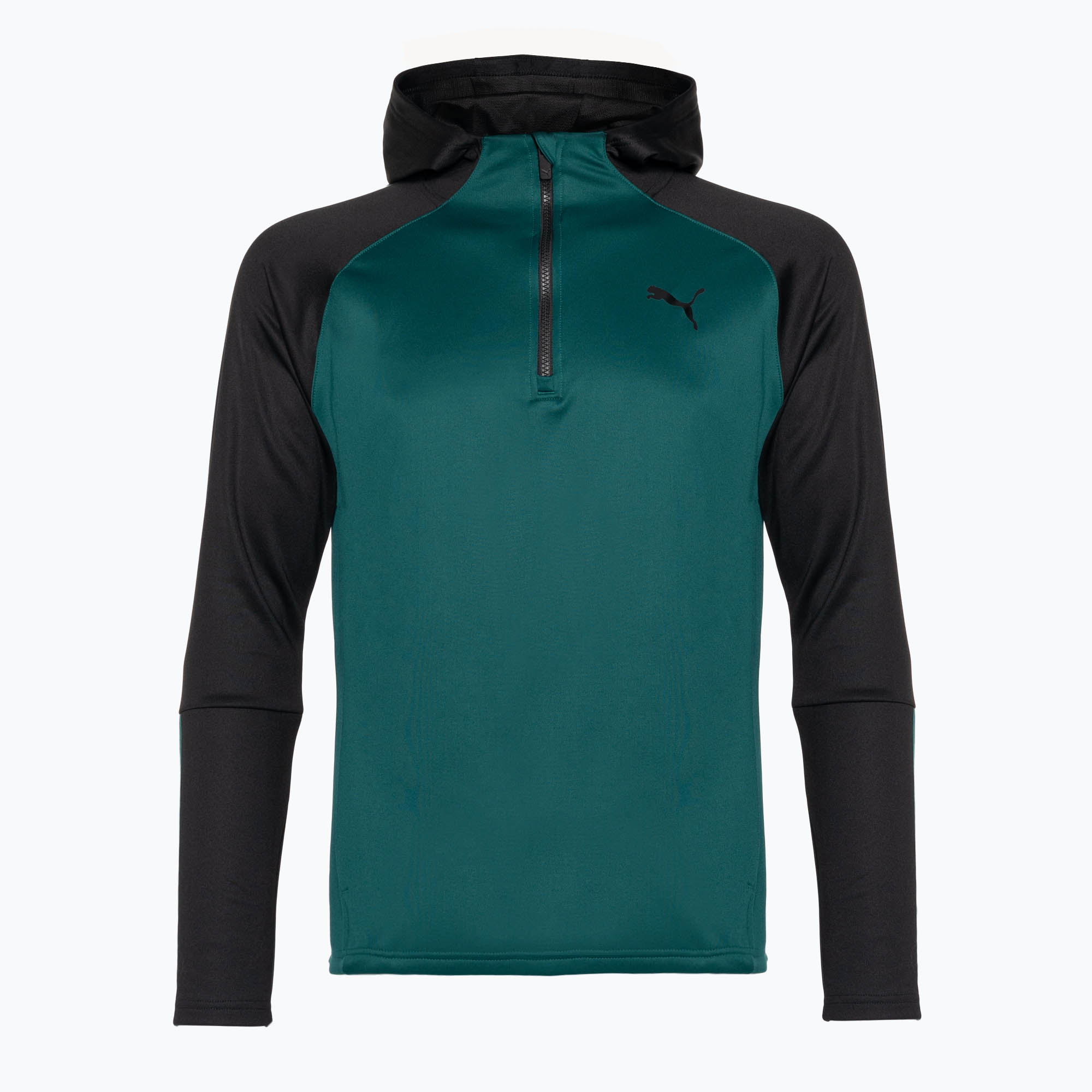Pánská tréninková mikina PUMA Train Off Season PWR Fleece Hoodie zelená 52214024