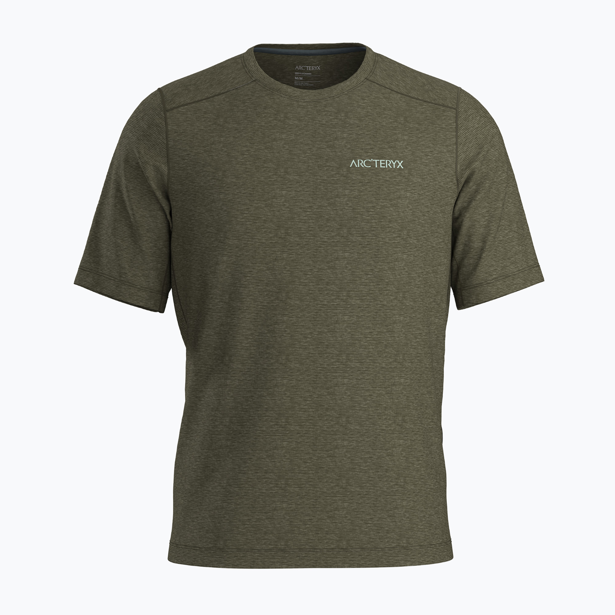Pánské trekové tričko Arc'teryx Cormac Logo tatsu heather/stone green (Cormac Arc'bird Logo X000009721026)
