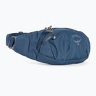 Ledvinový vak Osprey Daylite Waist 2L navy blue 10003247