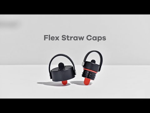 Termo láhev Hydro Flask Standard Flex Straw 620 ml fialová S21FS474