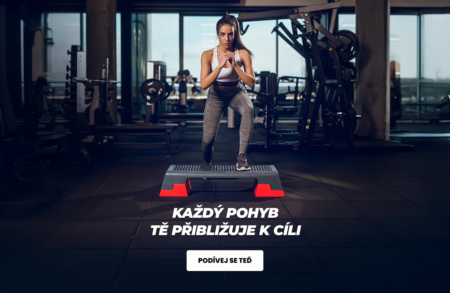 Fitness a posilovna