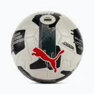 Fotbal