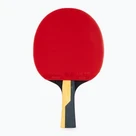 Stolní tenis
